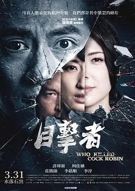 《目击者之追凶》:真相迷雾下的惊悚追逐,悬疑升级!
