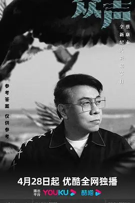 《众声》:一场关于爱与失落的诗意挽歌,直击心灵深处