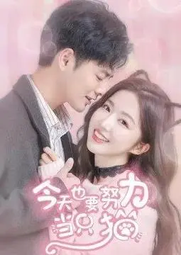萌力出击!《今天也要努力当只猫》爆笑治愈来袭